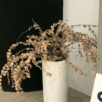 滑县FurryQQ群介绍